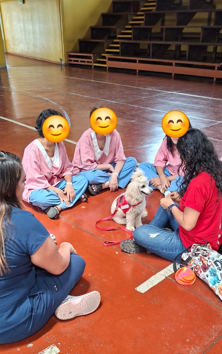 Poodle terapeuta en sesión con pacientes